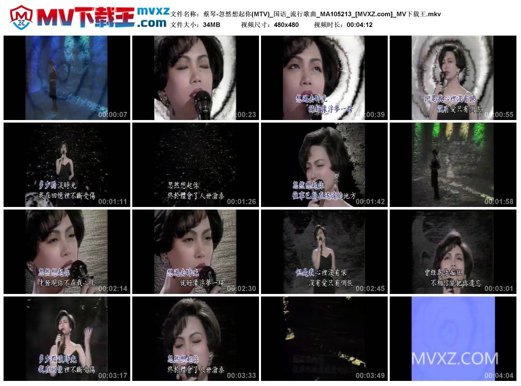 蔡琴-忽然想起你(MTV)_国语_流行歌曲_MA105213